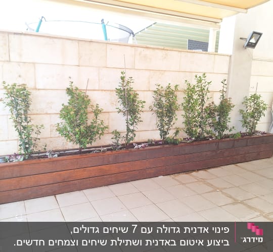 שיחים ירוקים באדנית עץ על מרפסת מרוצפת